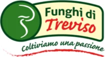 Funghi di Treviso