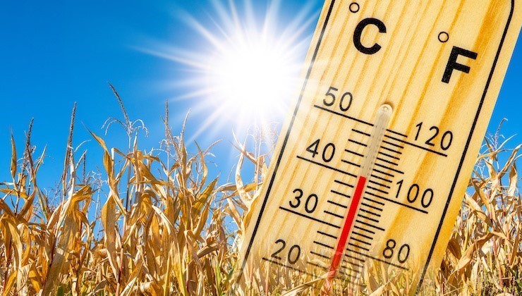Caldo severo