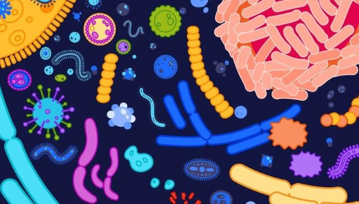 Dati sul microbioma