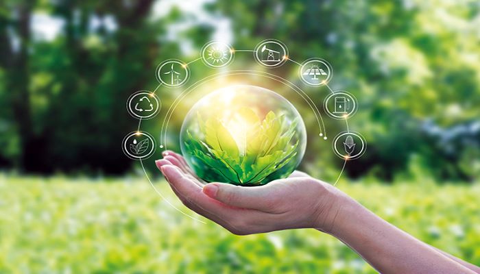 GREEN ECONOMY